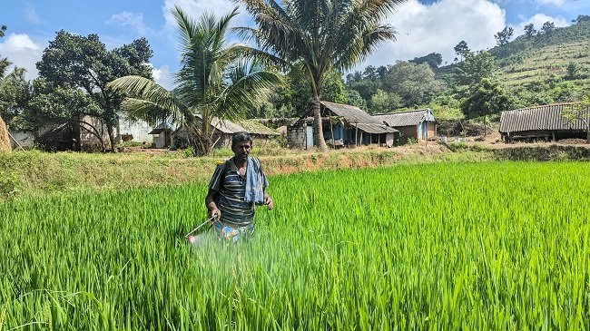 Health & Education in Tribal Villages in the Kalvaryan Hills, Tamil Nadu.